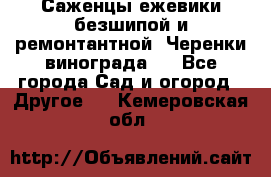 Саженцы ежевики безшипой и ремонтантной. Черенки винограда . - Все города Сад и огород » Другое   . Кемеровская обл.